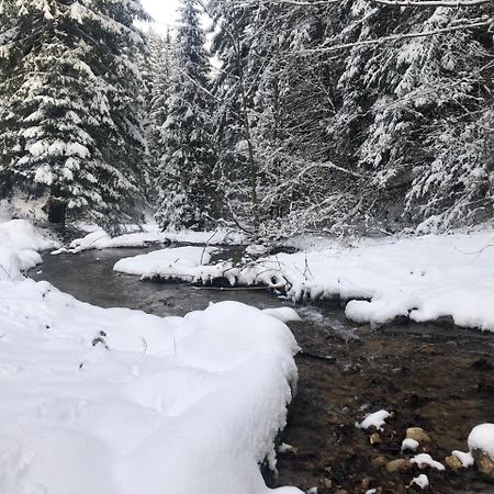 فيلا براشوففي Hot Tub Chalet Retreat المظهر الخارجي الصورة